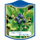 園芸用ラベル【 ブルーベリー ホームベル K(100枚)】105mm×80mm フラワーラベル 園芸用品 ガーデニング用品 耐水性 耐久性 花 木 品種名表示ラ...