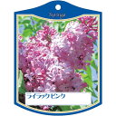 園芸用ラベル【 ライラック ピンク K (100枚)】105mm×80mm フラワーラベル 園芸用品 ガーデニング用品 耐水性 耐久性 花 木 品種名表示ラベル...