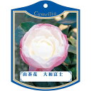 園芸用ラベル【 サザンカ ヤマトフジ2004 K (100枚)】105mm×80mm フラワーラベル 園芸用品 ガーデニング用品 耐水性 耐久性 花 木 品種名...