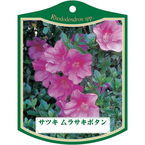 園芸用ラベル【 サツキ ムラサキボタン K (100枚)】105mm×80mm フラワーラベル 園芸用品 ガーデニング..