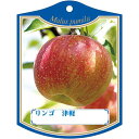 園芸用ラベル【 リンゴ ツガル K (100枚)】105mm×80mm フラワーラベル 園芸用品 ガーデニング用品 耐水性 耐久性 花 木 品種名表示ラベル 園...