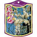 園芸用ラベル【 枝垂れ梅 白 2005 K(100枚)】105mm×80mm フラワーラベル 園芸用品 ガーデニング用品 耐水性 耐久性 花 木 品種名表示ラベ...