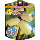 園芸用ラベル【 ポポー K(100枚)】105mm×80mm フラワーラベル 園芸用品 ガーデニング用品 耐水性 耐久性 花 木 品種名表示ラベル 園芸ラベル ...