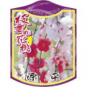 園芸用ラベル【 花桃 源平シダレ K(100枚)】 105mm×80mm フラワーラベル 園芸用品 ガーデニング用品 耐水性 耐久性 花 木 品種名表示ラベル ...