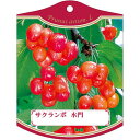 園芸用ラベル【 さくらんぼ 水門 (100枚)】105mm×80mm フラワーラベル 園芸用品 ガーデニング用品 耐水性 耐久性 花 木 品種名表示ラベル 園芸...
