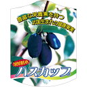 園芸用ラベル【 ハスカップ K (100枚)】105mm×80mm フラワーラベル 園芸用品 ガーデニング用品 耐水性 耐久性 花 木 品種名表示ラベル 園芸ラ...