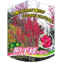 園芸用ラベル【 照手桃 赤 K (100枚)】105mm×80mm フラワーラベル 園芸用品 ガーデニング用品 耐水性 耐久性 花 木 品種名表示ラベル 園芸ラ...