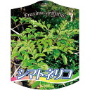 園芸用ラベル【 シマトネリコ 2005 K(100枚)】105mm×80mm フラワーラベル 園芸用品 ガーデニング用品 耐水性 耐久性 花 木 品種名表示ラベ...