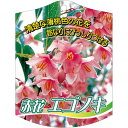 園芸用ラベル【 エゴノキ 赤花 646 K(100枚)】105mm×80mm フラワーラベル 園芸用品 ガーデニング用品 耐水性 耐久性 花 木 品種名表示ラベ...
