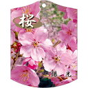 園芸用ラベル【 陽光 桜 639 K(100枚)】105mm×80mm フラワーラベル 園芸用品 ガーデニング用品 耐水性 耐久性 花 木 品種名表示ラベル 園...