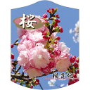 園芸用ラベル【 楊貴妃桜 K(100枚)】105mm×80mm フラワーラベル 園芸用品 ガーデニング用品 耐水性 耐久性 花 木 品種名表示ラベル 園芸ラベル...