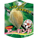 園芸用ラベル【 アーモンド K (100枚)】105mm×80mm フラワーラベル 園芸用品 ガーデニング用品 耐水性 耐久性 花 木 品種名表示ラベル 園芸ラ...