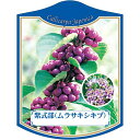 園芸用ラベル【 紫式部 K (100枚)】105mm×80mm フラワーラベル 園芸用品 ガーデニング用品 耐水性 耐久性 花 木 品種名表示ラベル 園芸ラベル...