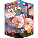 園芸用ラベル【 梅 見驚 K (100枚)】105mm×80mm フラワーラベル 園芸用品 ガーデニング用品 耐水性 耐久性 花 木 品種名表示ラベル 園芸ラベ...