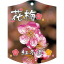 園芸用ラベル【 梅 紅冬至 K(100枚)】105mm×80mm フラワーラベル 園芸用品 ガーデニング用品 耐水性 耐久性 花 木 品種名表示ラベル 園芸ラベ...