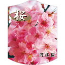 園芸用ラベル【 河津桜 2006 K(100枚)】105mm×80mm フラワーラベル 園芸用品 ガーデニング用品 耐水性 耐久性 花 木 品種名表示ラベル 園...