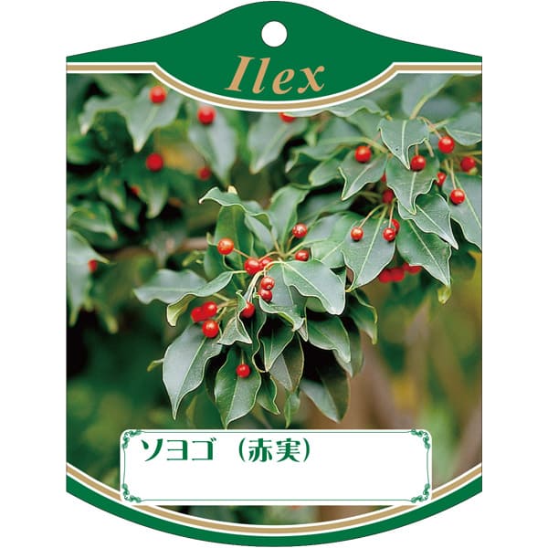 園芸用ラベル【 ソヨゴ（ 赤実 ） K (100枚)】105mm×80mm フラワーラベル 園芸用品 ガーデニング用品 ..