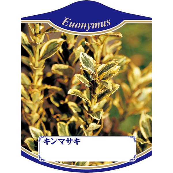 園芸用ラベル【 キンマサキ K (100枚)】105mm×80mm フラワーラベル 園芸用品 ガーデニング用品 耐水性 ..