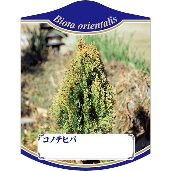 園芸用ラベル【 コノテヒバ K(100枚)】105mm×80mm フラワーラベル 園芸用品 ガーデニング用品 耐水性 ..