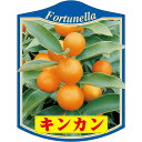 園芸用ラベル【 キンカン 2007/12 K (100枚)】105mm×80mm フラワーラベル 園芸用品 ガーデニング用品 耐水性 耐久性 花 木 品種名表示...