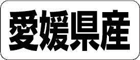 【 愛媛県産 LRF0038S（500枚入）】 販