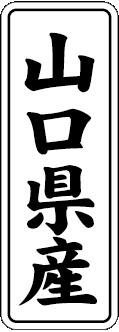 【 山口県産 LVL0035S（1000枚入）】 販