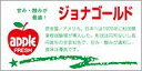 販促シール 食品シール 催事シール デコシール ギフトシール 業務用シール【青果 りんご ジョナゴールド LZ402(300枚入)】