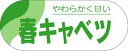 販促シール 食品シール 催事シール デコシール ギフトシール 業務用シール【青果 春キャベツ LZ268(500枚)】