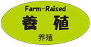 ラベルシール専門店あさひで買える「【 養殖 LH983S(300枚入)】 三カ国語 ( 英語 日本語 中国語 )表記シール 販促シール 食品シール 催事シール デコシール 業務用シール 蛍光紙 寿司 刺身 お刺身 さしみ 鮮魚シール 生鮮食品 新鮮 海の幸 さんま いわし あじ たい さば 鮭 かつお ぶり まぐろ」の画像です。価格は1,430円になります。