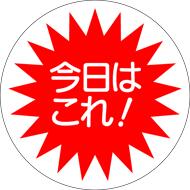 【食品ラベル 今日はこれ LQ216（500