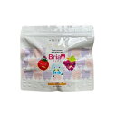 Brian ブリアン 歯磨き粉 0.5g×60包 いちご味 子供用 歯磨き粉