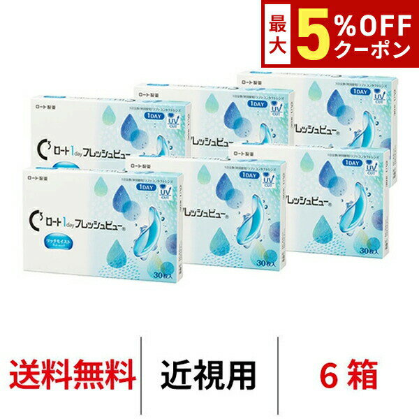 【最大5%OFFクーポン配布中!!】送料無料[6箱]ロート ワンデーフレッシュビューリッチモイスト  ...