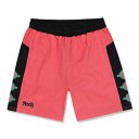 ウエア Arch（アーチ）パンツ バスパン park camp shorts【pink】バスケ ウェア