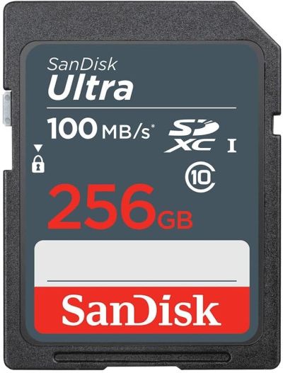 SANDISK サンディスク 256GB SD SDXC カード UHS-I 最大読込速度100MB/s Class10 変換アダプタ無し SDSDUNR-256G-GN3IN