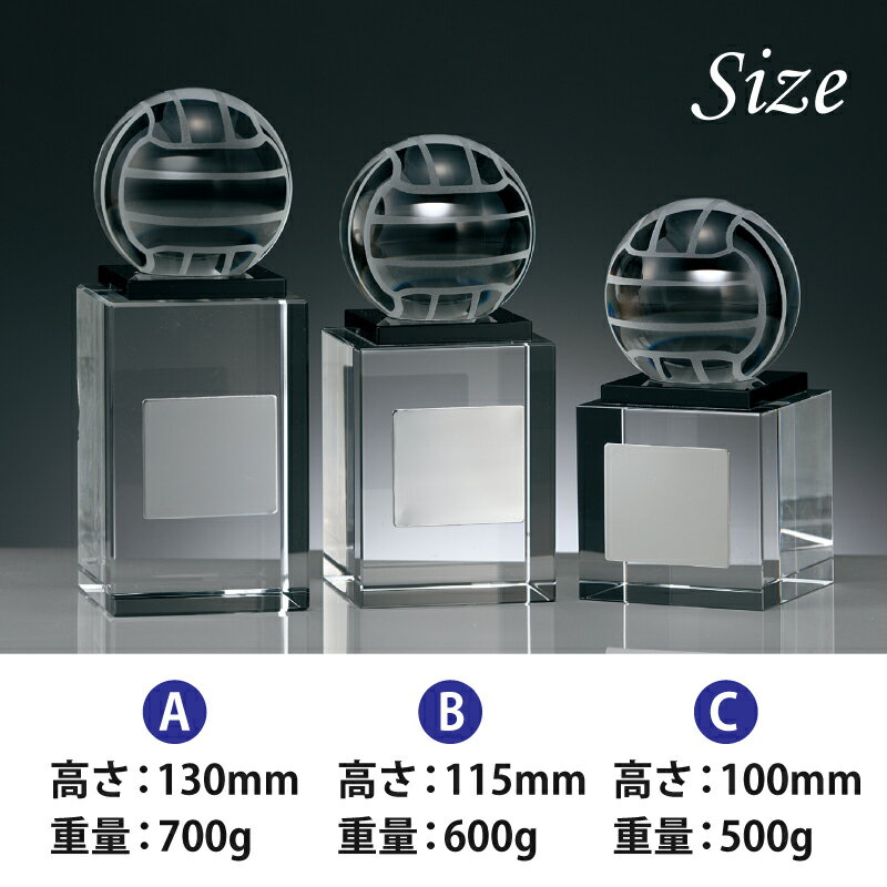 名入れ バレーボール トロフィー 光学ガラス製 【BW2340】表彰 達成記念 名入れ刻印プレート付き 表彰・大会記念・MVPアワードに