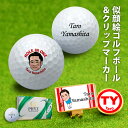 似顔絵 ゴルフボール ゴルフ マーカー クリップ セット オリジナル オーダーメイド 【 ブリヂストン PHYZ 1ダース 】 オウンネーム 退職祝 誕生日 父の日 母の日 敬老の日 還暦 贈り物 12球 記念日 名入れ ホールインワン アルバトロス エイジシュート ギフト プレゼント