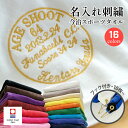 エージシュート 記念品 タオル 【 フック 付き 今治 スポーツタオル サークル 刺繍 袋付き 10枚 】 エイジシュート 記念 今治タオル ギフト 記念日 名...