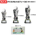 ホールインワン エージシュート 記念品 【BW-2273 記念日 名入れ クリスタル トロフィー 】 アルバトロス エイジシュート ギフト プレゼント 記念 記...