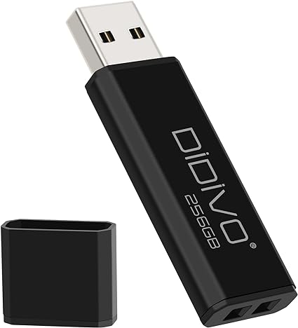 DIDIVO USBメモリ 256GB USB 2.0 フラッシュドライブ 小型 軽量 超高速データ転送 大容量 読取り最大30MB/s キャップ式 USBメモリースティック データ転送 Windows PCに対応 (256GB USB 2.0）)