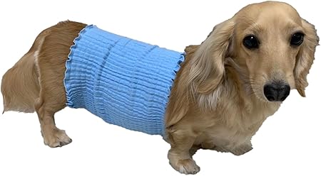 樂天商城 - ワンちゃん・ネコちゃん用 シングル1重タイプ 腹巻き Lサイズ サックス