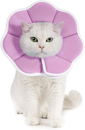 樂天商城 - エリザベスカラー 犬用 猫用 ソフト 軽量 手術後 傷口保護 舐め防止 引っ?き防止 （パープル）
