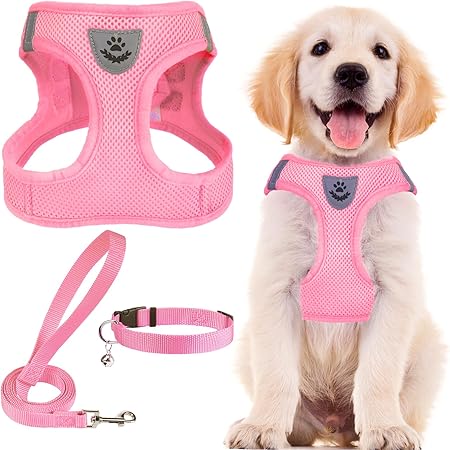 樂天商城 - 犬 ハーネス リード セット 犬用 胴輪 ソフト マジックテープ付き 反射素材付き ペット用品 はーねす 引っ張り防止 抜けない 喉に優しい 調節可能 着脱簡単 軽量 メッシュ 快適 通気 手洗い 耐久性 安全 散歩 しつけ 訓練 老犬介護