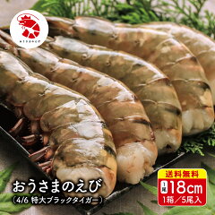 https://thumbnail.image.rakuten.co.jp/@0_mall/arckingfood/cabinet/05514811/imgrc0088746052.jpg