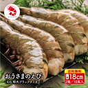 2箱セット｜送料無料キャンペーン！｜特大 極太 巨大 ...