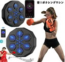 音楽ボクシングマシン スマート ディスプレイ付き 子供 大人 音楽ボクシングマシン 壁パンチングバッグ ボクシングトレーニングパンチング機器 スマート 音楽ボク...