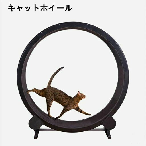 キャットホイール キャットタワー 猫ホイール 回し車 省スペース 猫 ダイエット ストレス解消 ストレス発散 猫 運動不足解消 運動不足予防 ルームランナー ランニングマシーン おもちゃ 室内飼い 猫 キャットホイール キャットタワー 猫ホイール 回し車 省スペース 猫 ダイエット ストレス解消 ストレス発散 猫 運動不足解消 運動不足予防 ルームランナー ランニングマシーン おもちゃ 室内飼い 猫