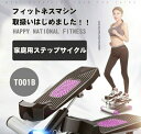 ウォーキング健康ステッパー 男女兼用フィットネス用エクササイズマシン 有酸素運動/筋トレ用に最適