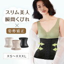 ウエストニッパー コルセット ボディシェイパー ボディシェイプ ぽっこりお腹 美くびれ 美しいライン 骨盤 お腹 サイズ選び メッシュ猫背 反り腰 巻き肩 美姿...