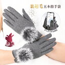 手袋 レディース 秋冬 おしゃれ かわいい 暖かい スマホ 女性手袋 防寒手袋 防寒グッズ 女性用 柔軟 あったか 防風グローブ ファー スマホ手袋 ふわふわ ...
