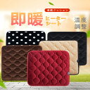 ホットシート シートカバー カーシートヒーター 即暖ヒータークッション 車載クッション ホットシートカバー 車載座布団 シートクッション 12V 冬用 簡単取付